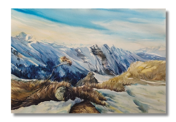 Theatre plate 800zł